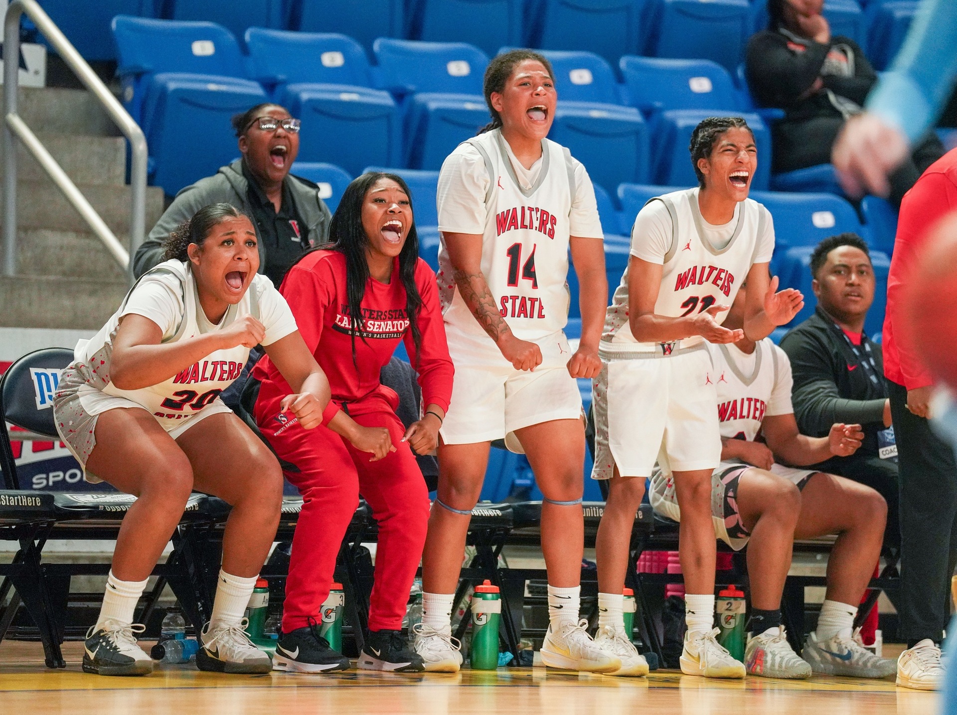 Photo Courtesy of Walters State Athletics