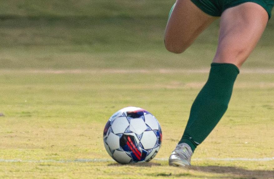 MOTLOW, PELLISSIPPI ADVANCE TO SUNDAY CHAMPIONSHIP GAME